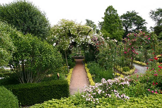 Сад в романтическом стиле: основы подбора растений и аксессуаров