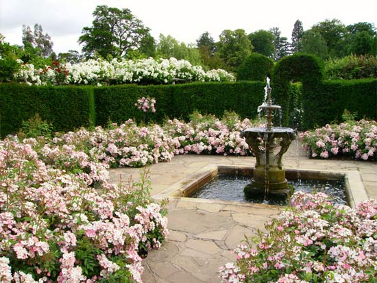 Сад в романтическом стиле: основы подбора растений и аксессуаров